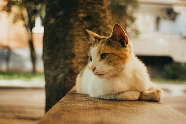 What Are the Key Indicators of Growth in the UK's Real Estate Market?