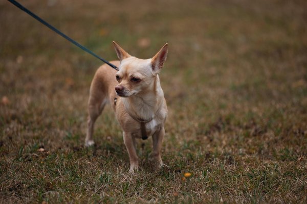 What Are the Strategies for Improving Health Outcomes in the UK?